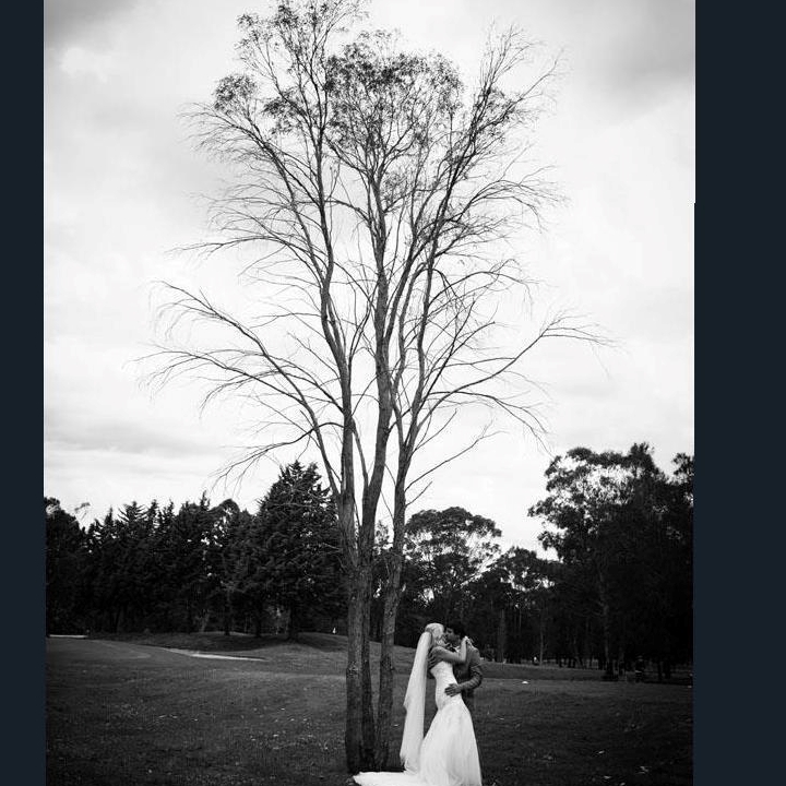 Gosford Golf Club Ltd-1445130